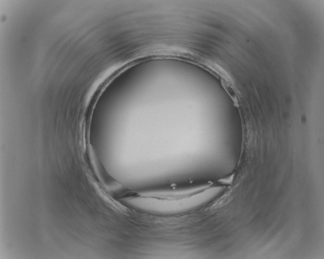 X0000073921128200609011802