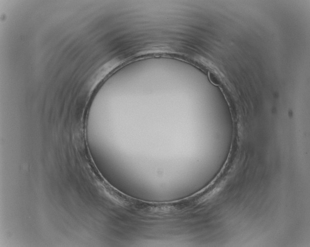 X0000073921129200609011802