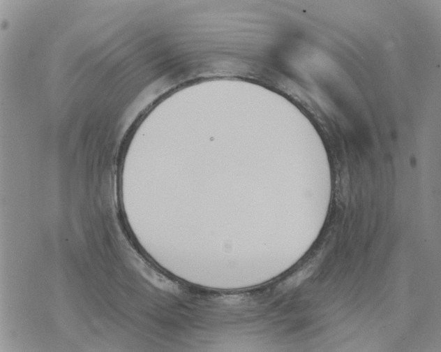 X0000073921130200609011802