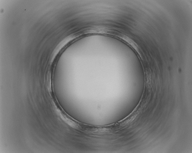 X0000073921131200609011802