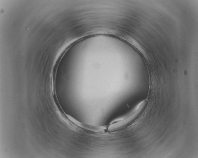 X0000073921132200609011802