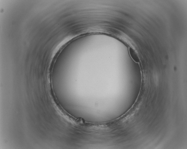 X0000073921133200609011802