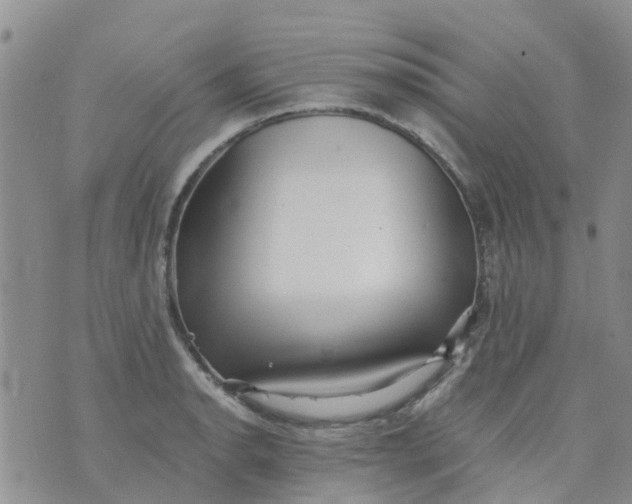 X0000073921134200609011802