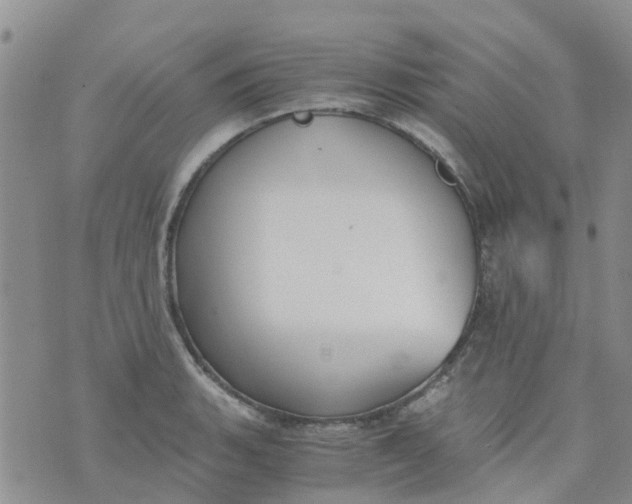 X0000073921135200609011802