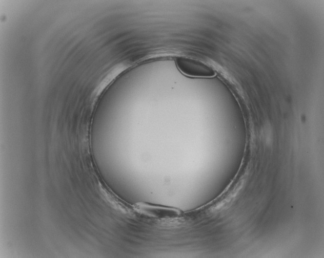 X0000073921137200609011802