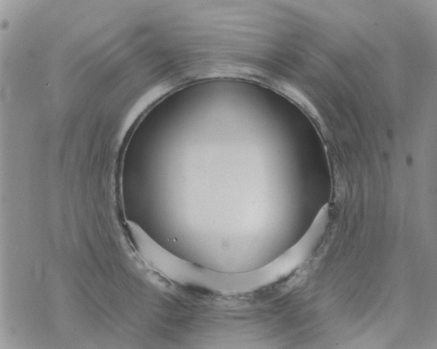 X0000073921138200609011802