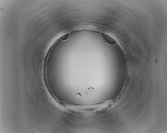 X0000073921139200609011802