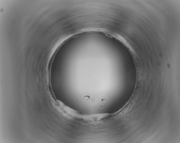 X0000073921140200609011802