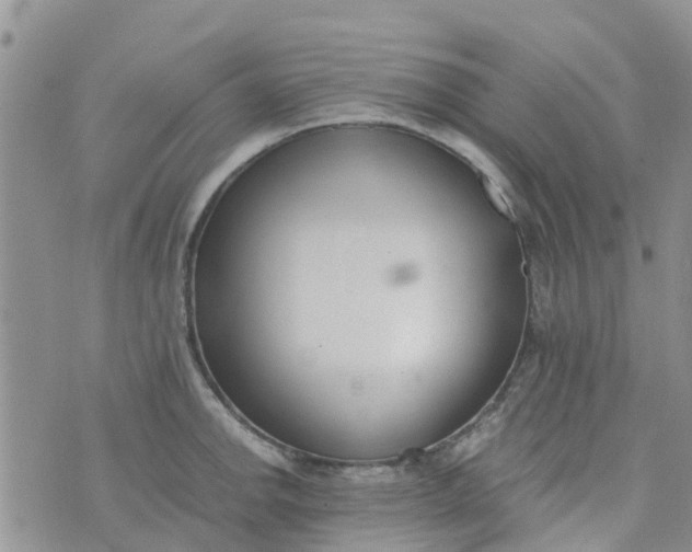 X0000073921142200609011802