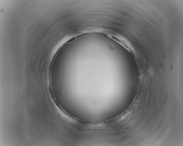 X0000073921143200609011802