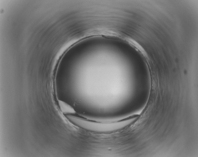 X0000073921144200609011803