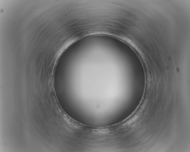 X0000073921145200609011803