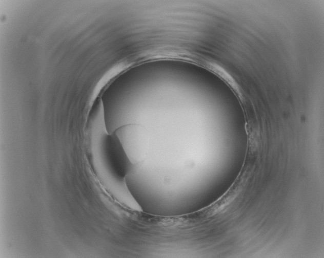 X0000073921146200609011803