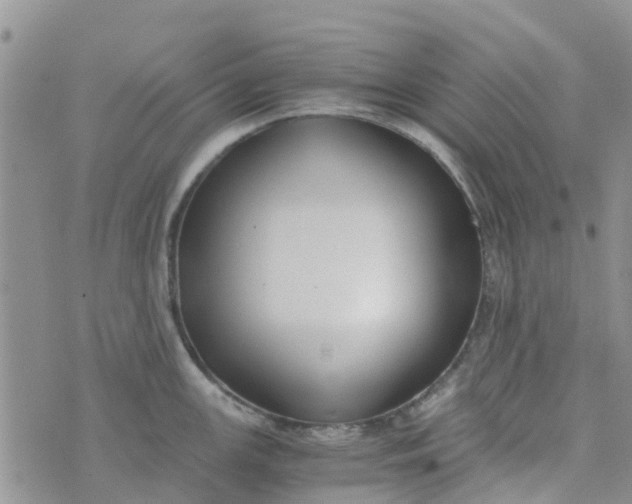 X0000073921147200609011803