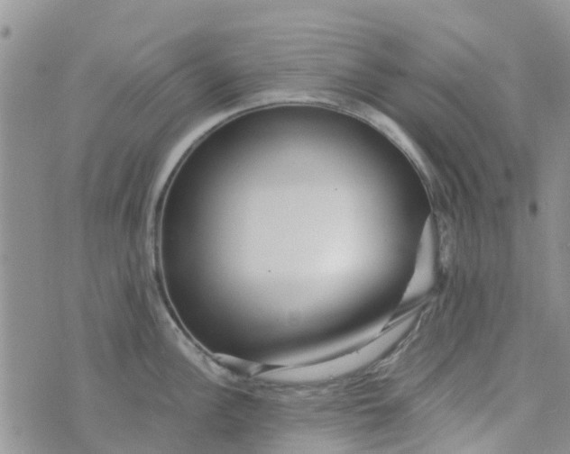 X0000073921148200609011803