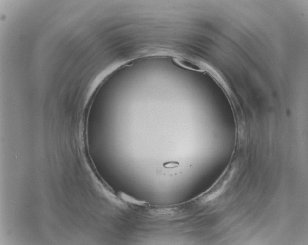 X0000073921149200609011803