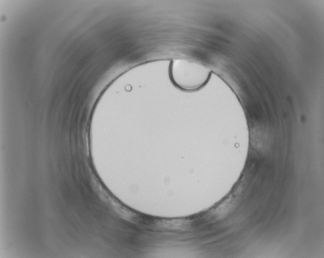 X0000073921150200609011803