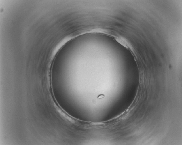 X0000073921151200609011803