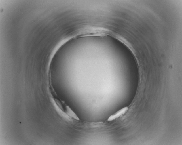 X0000073921152200609011803