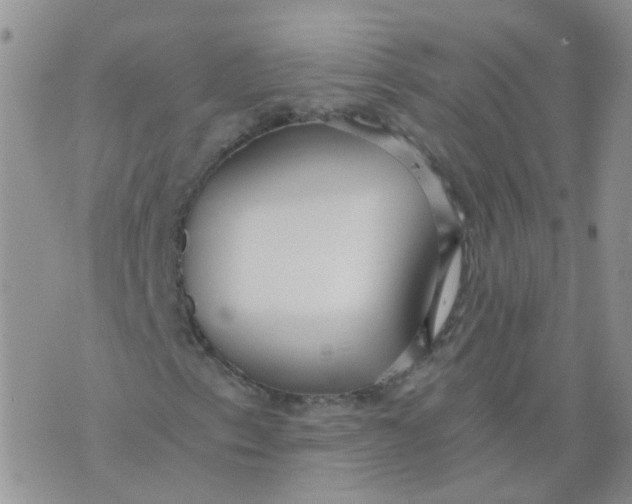 X0000073921153200609011802