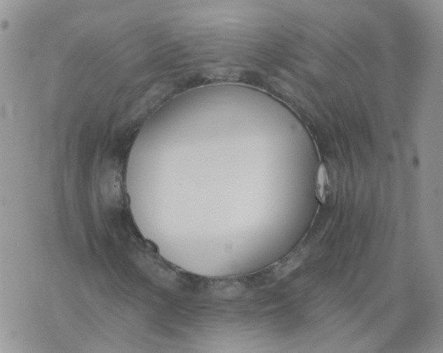 X0000073921154200609011802