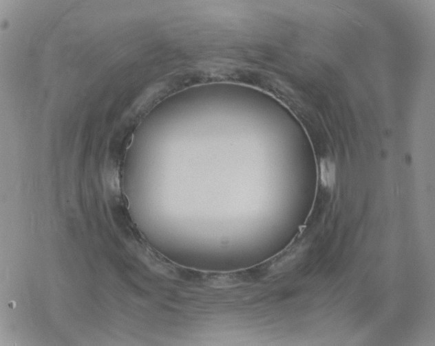 X0000073921155200609011802