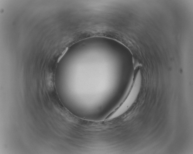 X0000073921156200609011802