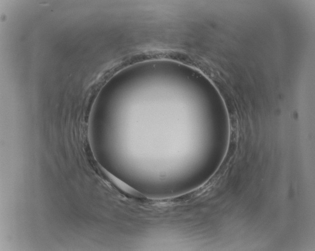 X0000073921157200609011802