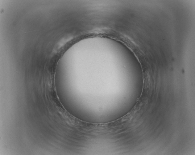 X0000073921158200609011802