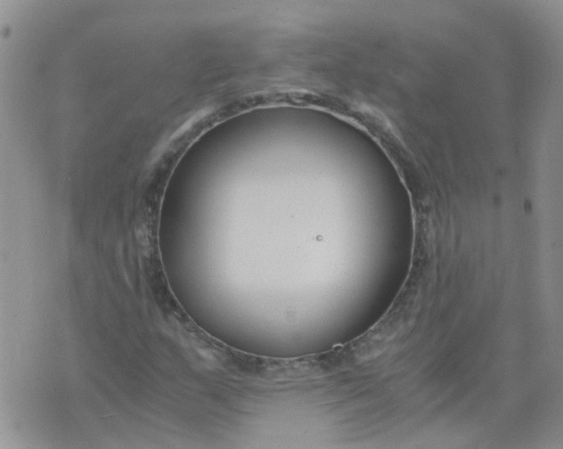 X0000073921159200609011802