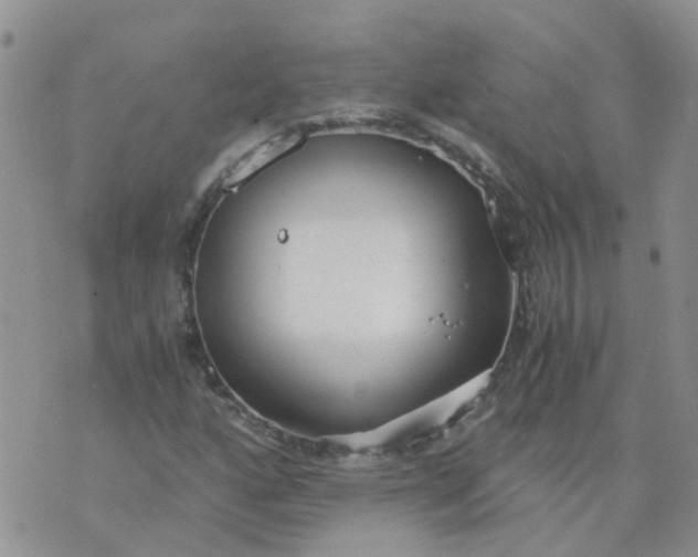 X0000073921160200609011802