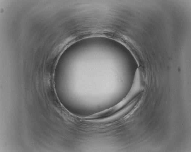 X0000073921161200609011802