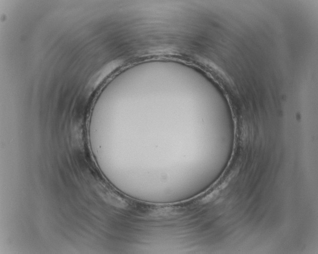 X0000073921162200609011802