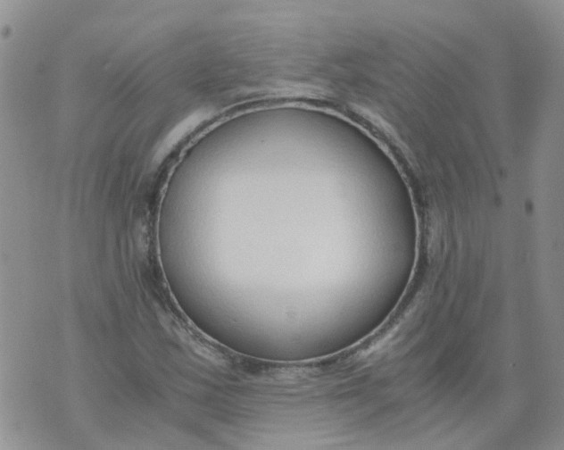 X0000073921163200609011802