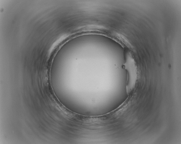 X0000073921164200609011802