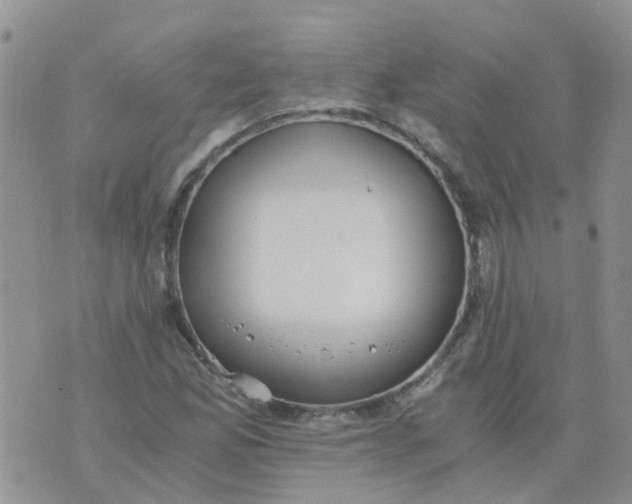 X0000073921165200609011802