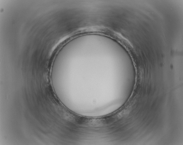 X0000073921166200609011802