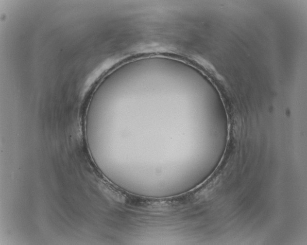 X0000073921167200609011802