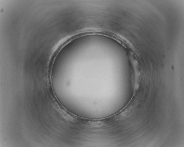 X0000073921168200609011802