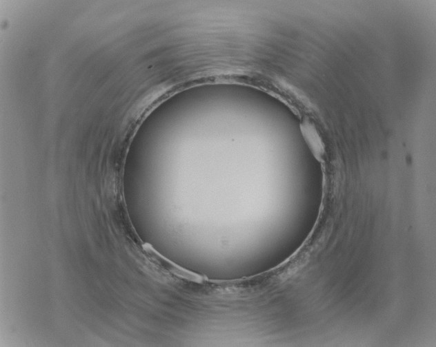 X0000073921169200609011802