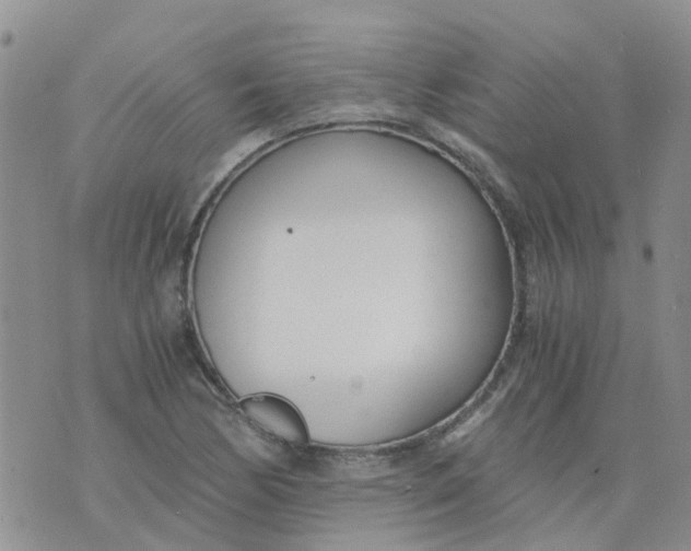 X0000073921170200609011802