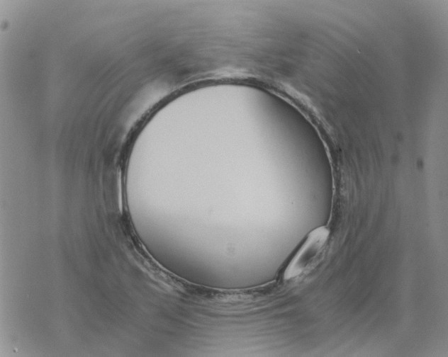 X0000073921171200609011802