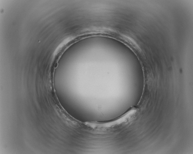 X0000073921172200609011802