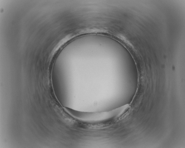 X0000073921173200609011802