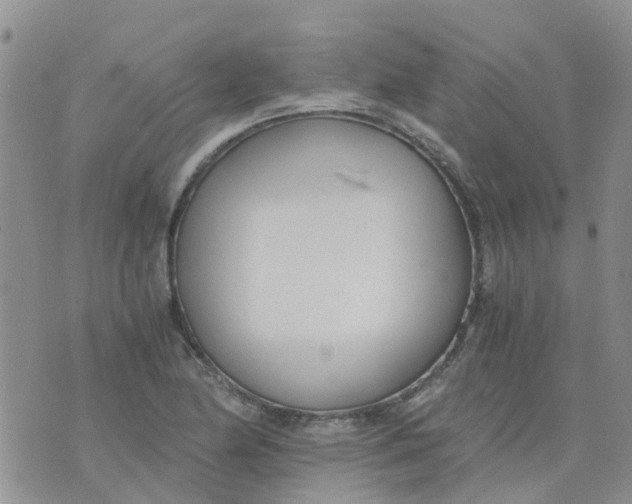 X0000073921174200609011802