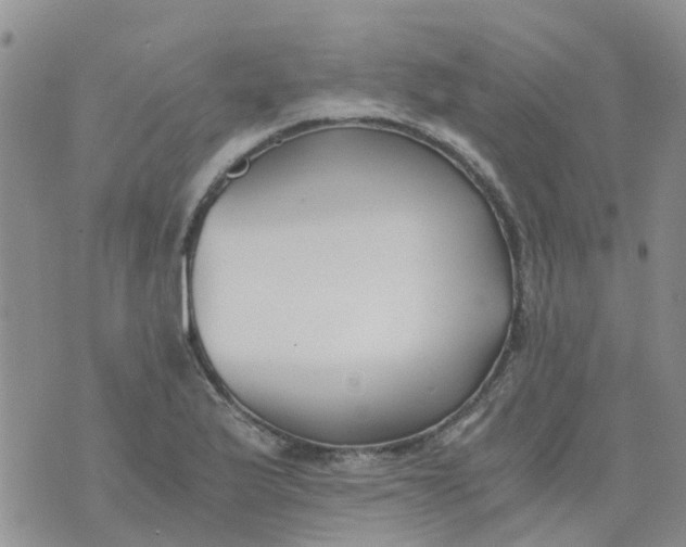 X0000073921175200609011801