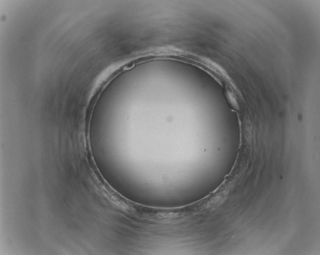 X0000073921176200609011801