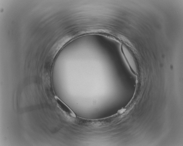 X0000073921177200609011801