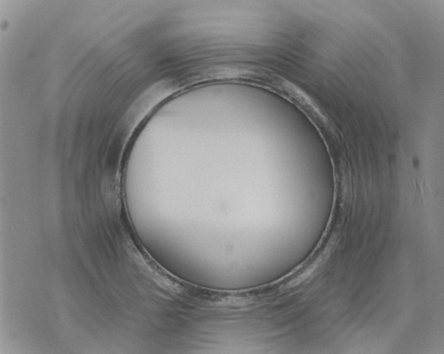 X0000073921178200609011801