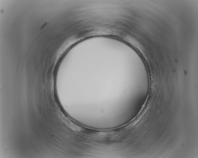 X0000073921179200609011801